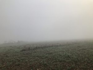 ラムキ　ホテル