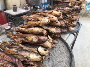 川魚
